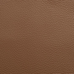 Fototapeta premium leather macro shot