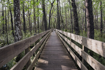 Long Boardwalk At Swamp Slough Preserve