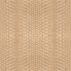 background of light brown snake skin