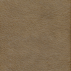 brown leather background