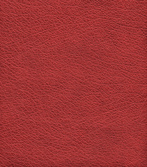 red leather
