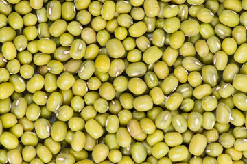 Green mung beans background