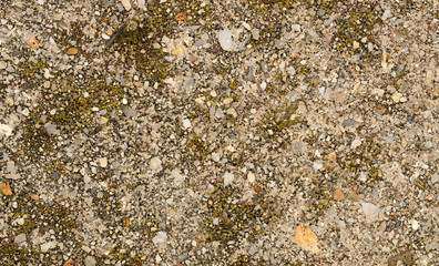 Obraz premium Tiny gravel texture