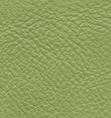 green leather texture closeup