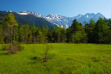 Fototapeta na wymiar 田代湿原から見た穂高連峰