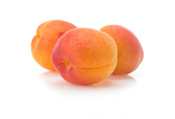 apricot on white background
