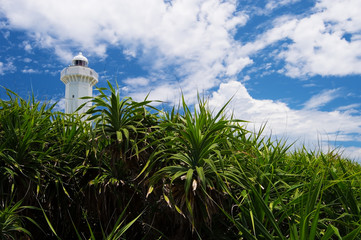 東平安名崎灯台