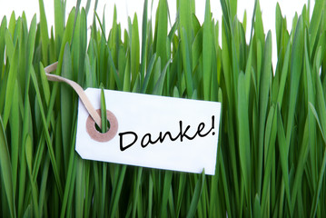 Grass Background with Danke