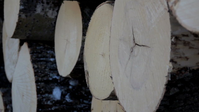 Closer image of the cut logs