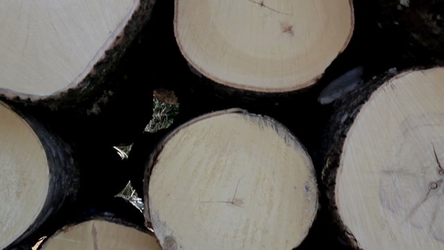 Close-up image of the wood end of the logs