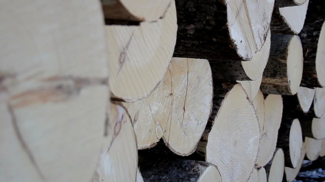 A more up-close image of the wood ends of the logs