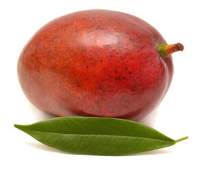 Mango with leaf