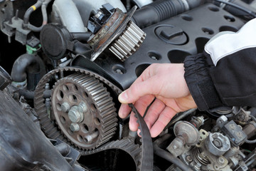 Service, car mechanic replace timing belt at camshaft of engine