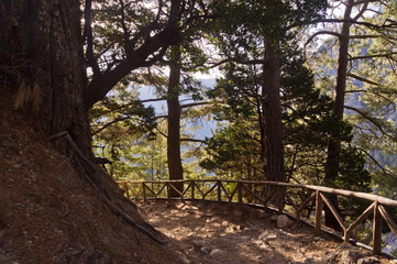 Trail through Samaria gorge, island of Crete