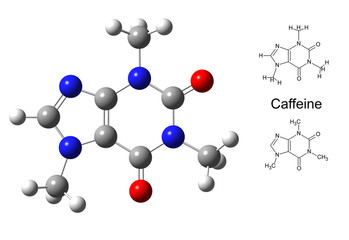 Structural model of caffeine molecule