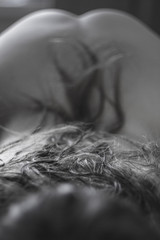 Naklejka premium Take your slow