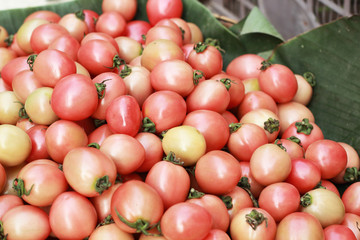 Fresh tomatoes in the market