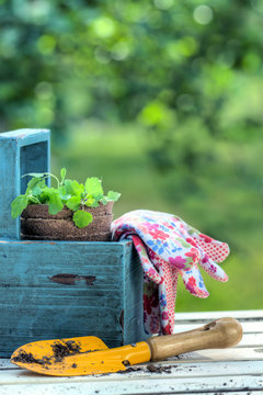 Gardening tools in a blue wooden tool box
