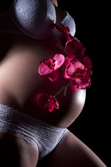 Babybauch mit pink farbene Orchidee Nahaufnahme