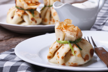 Pancake bag with green onion closeup on a white plate