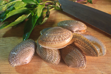 surf clam on wooden for cooking