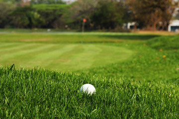 Golf ball in rough grass near the putting green