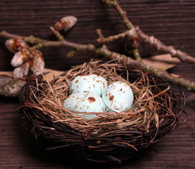 Vogelnest vor Holzhintergrund