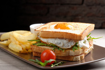 Fresh triple decker premium club sandwich with french fries