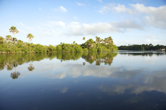 Remote Brazilian Lazy River Calm Reflection