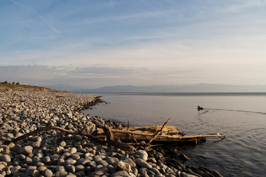 Langenargen am Bodensee
