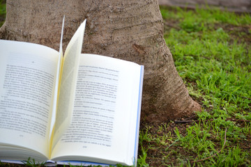 book and tree