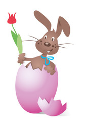 Easter bunny in egg,surprise,pink,tulip,free,vector,