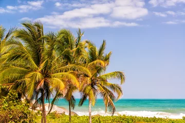 Tuinposter Three Palm Trees and Caribbean © jkraft5