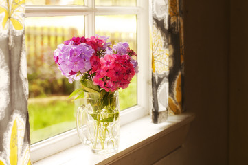 Flowers on a window pane