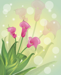 Spring flowers on a pastel background.