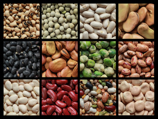 Collage of beans