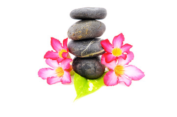 Fototapeta na wymiar Zen And Spa Stone With Fangipani Flower