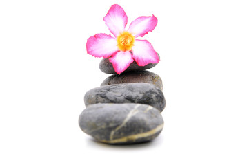 Fototapeta na wymiar Zen And Spa Stone With Frangipani Flower