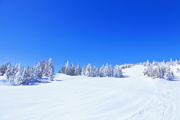 Fototapeta na wymiar Yokoteyama narciarski