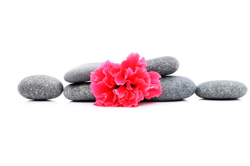 Zen And Spa Stone With Hibiscus Flower