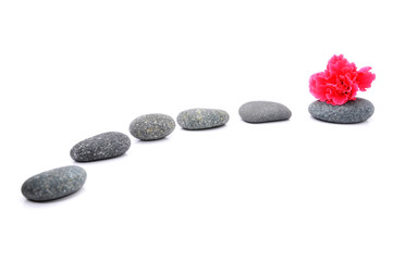 Zen And Spa Stone With Hibiscus Flower
