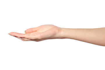 Open palm hand gesture of Female hand