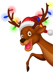 Cute deer cartoon with bulb and red hat