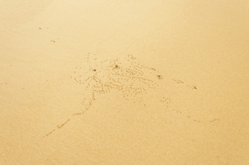 Texture of sea sand