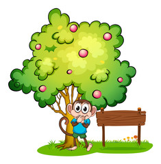 A cute monkey under the tree beside the empty wooden board