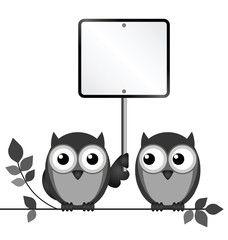 Owls with blank sign copy space for own text