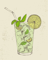 Hand drawn illustration of mojito with mint and lime.