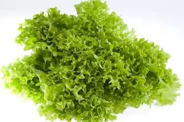 Obraz premium green lettuce jagged isolated on white background - close up