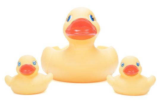 Mam&aacute; pato y patitos