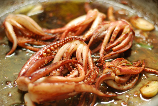 Tintenfische